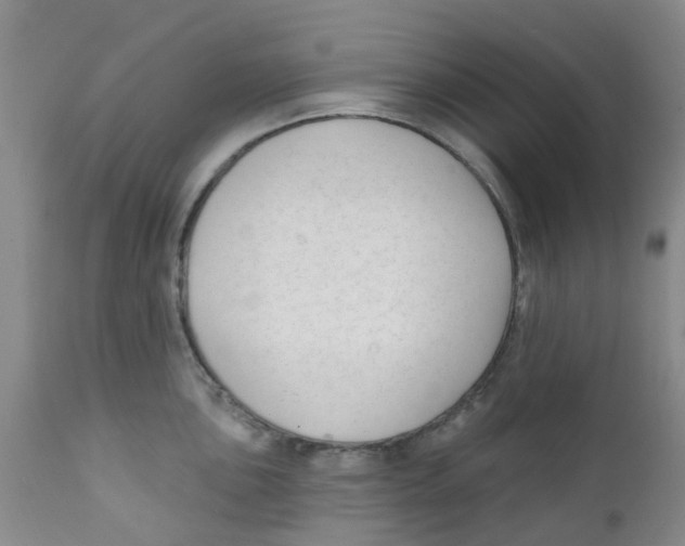 X0000112391051200909101406