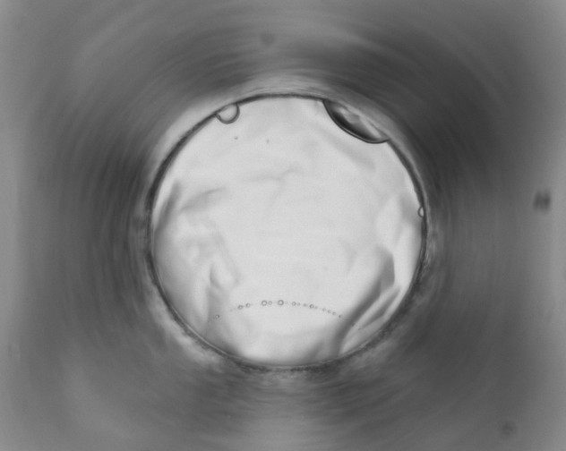 X0000112391053200909101406