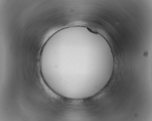 X0000112391055200909101406