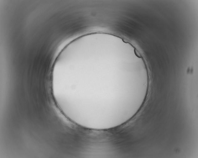 X0000112391056200909101406