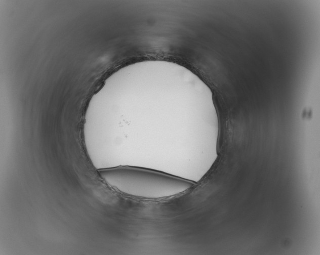 X0000112391057200909101406