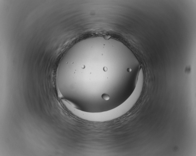 X0000112391060200909101406