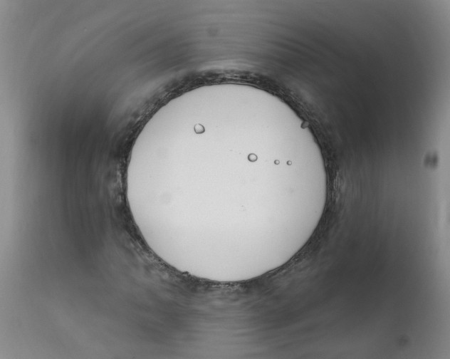 X0000112391062200909101406