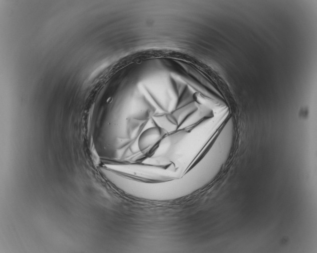 X0000112391064200909101406