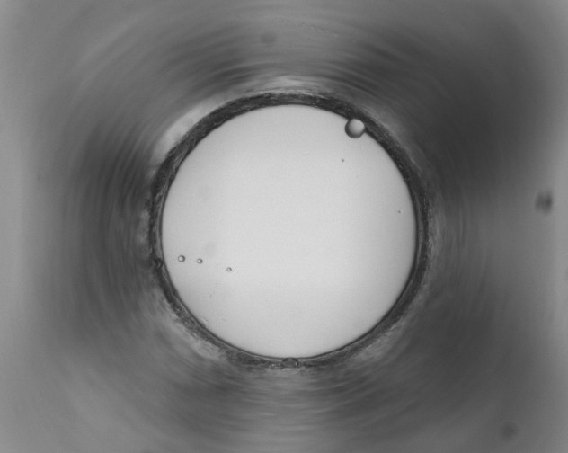 X0000112391066200909101406