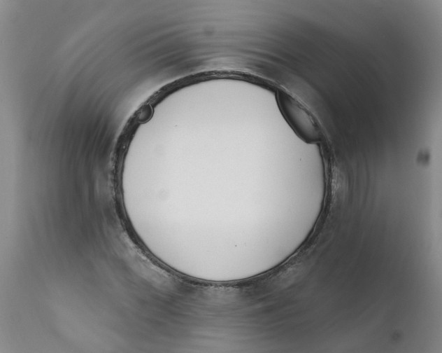 X0000112391068200909101406