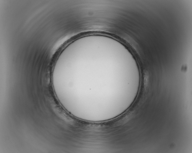 X0000112391069200909101406