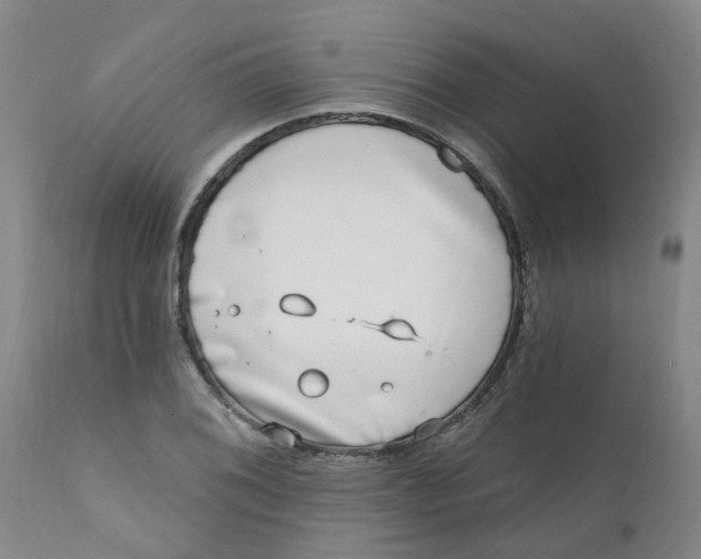 X0000112391076200909101405