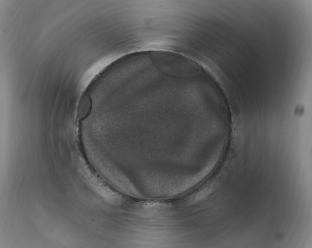 X0000112391077200909101405