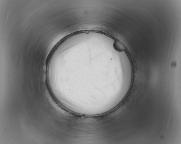 X0000112391079200909101405