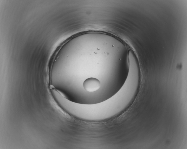 X0000112391080200909101405