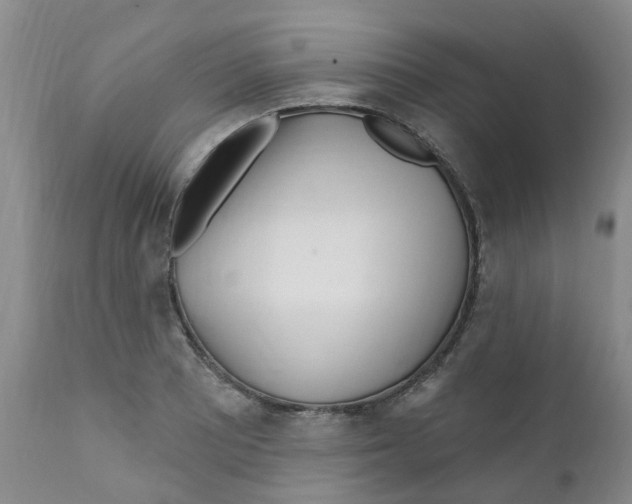 X0000112391081200909101405