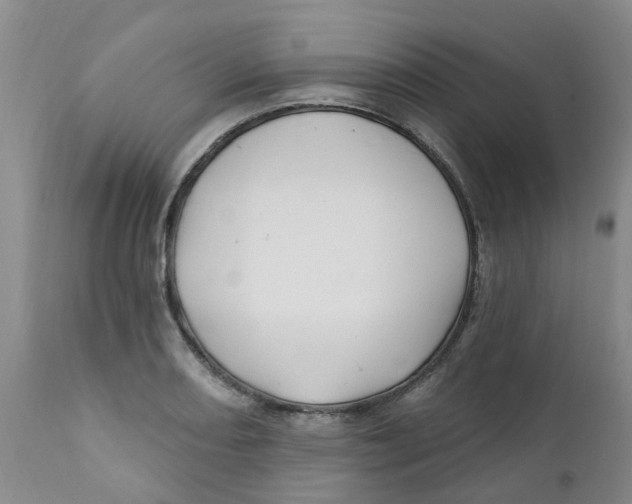 X0000112391082200909101405