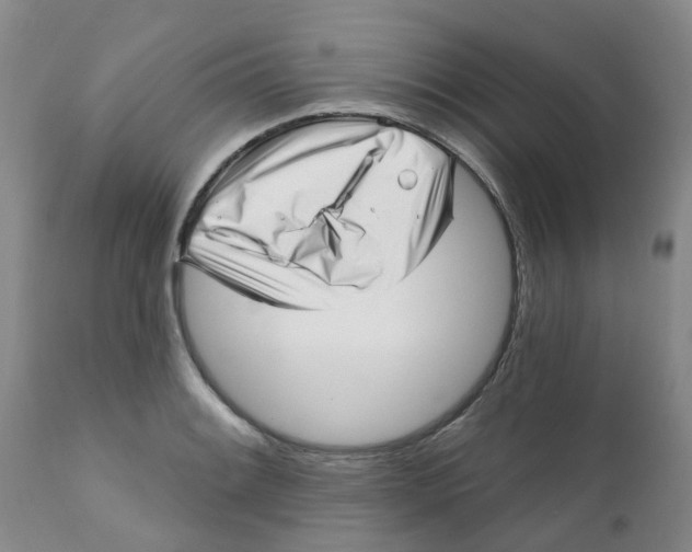 X0000112391084200909101405