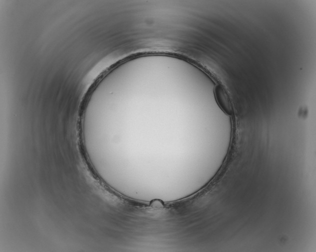 X0000112391085200909101405