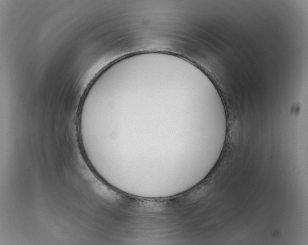 X0000112391086200909101405