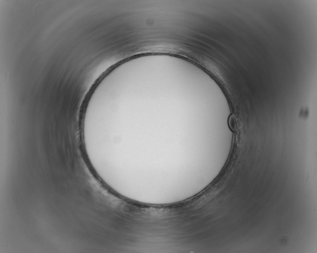 X0000112391087200909101405