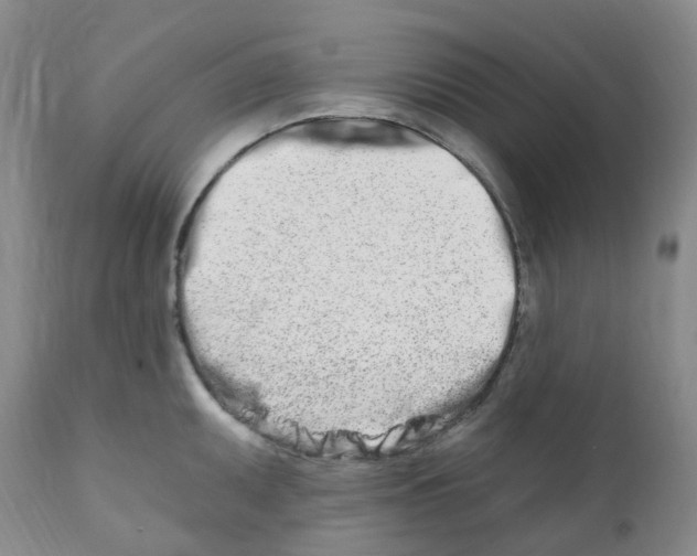 X0000112391095200909101405