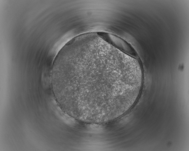 X0000112391097200909101405