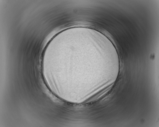 X0000112391099200909101405