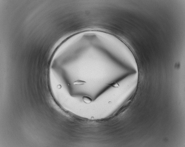 X0000112391100200909101405