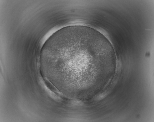 X0000112391101200909101405