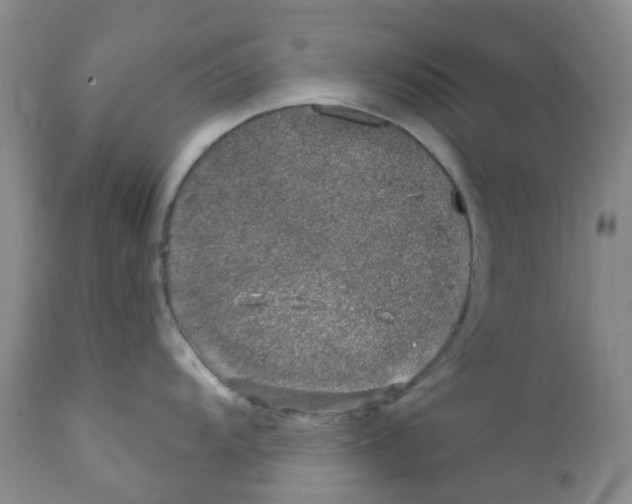 X0000112391104200909101405