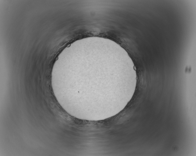 X0000112391105200909101404