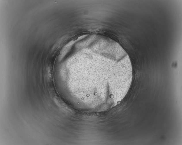X0000112391106200909101404
