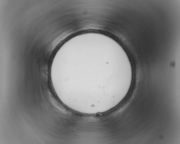 X0000112391113200909101404