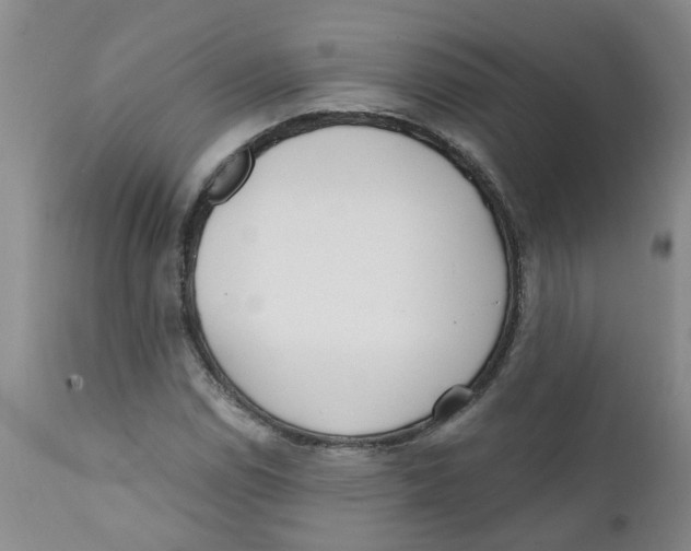 X0000112391114200909101404