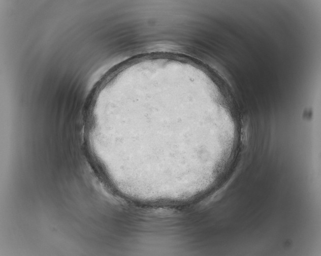 X0000112391117200909101404