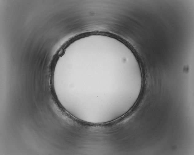 X0000112391118200909101404