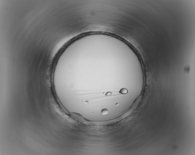 X0000112391120200909101404