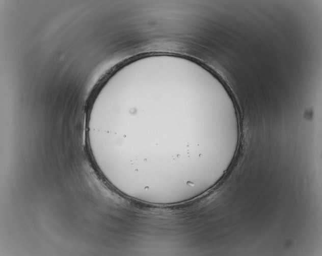 X0000112391123200909101404