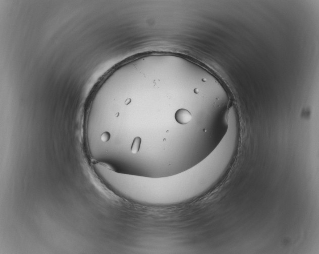 X0000112391128200909101404