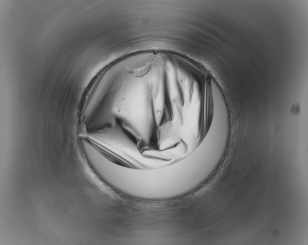 X0000112391134200909101404