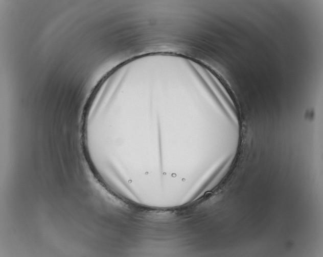 X0000112391135200909101404