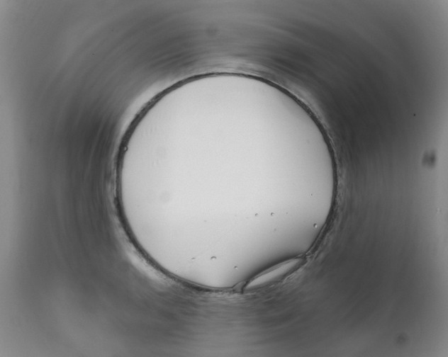 X0000112391136200909101404