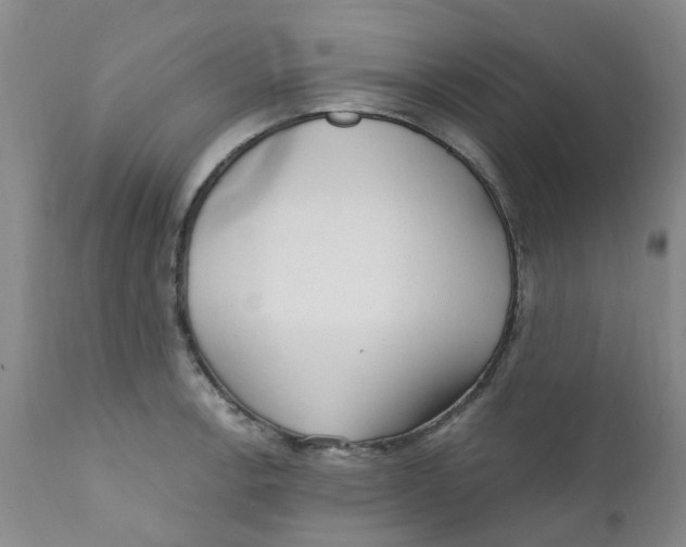 X0000112391138200909101405
