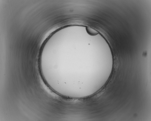 X0000112391139200909101405