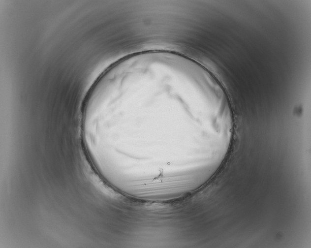X0000112391140200909101405