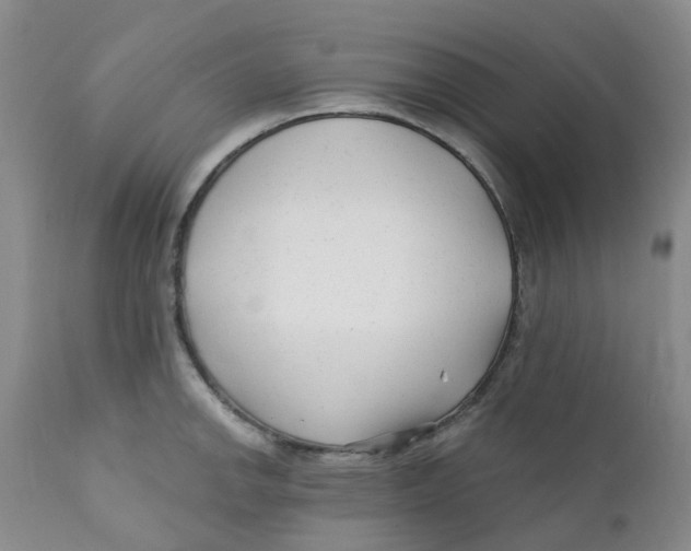 X0000112391142200909101405