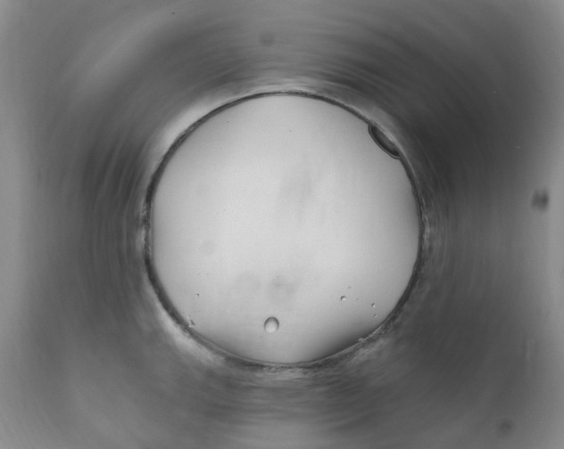 X0000112391143200909101405