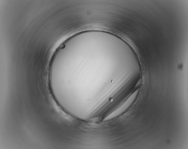 X0000112391144200909101405