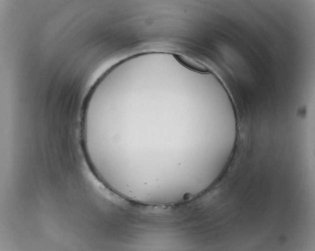 X0000112391147200909101405
