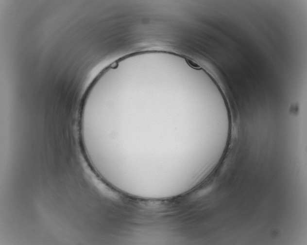 X0000112391149200909101405