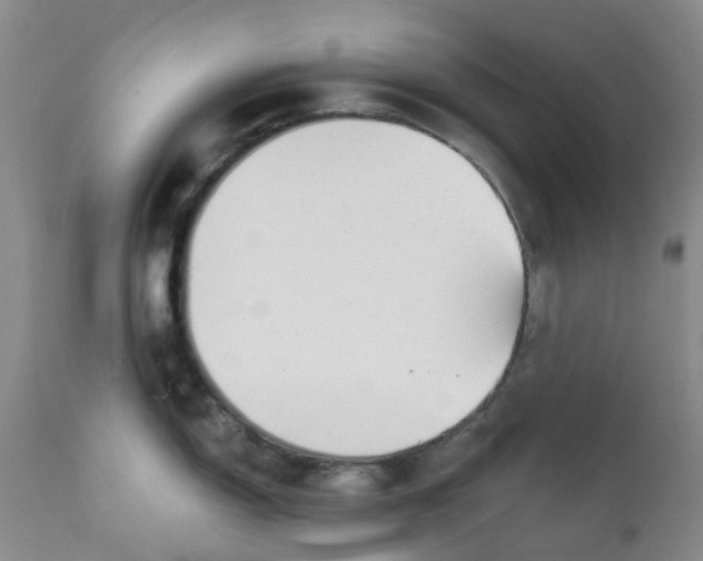 X0000112391150200909101405