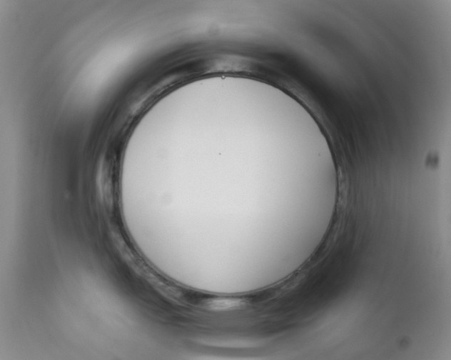 X0000112391151200909101405