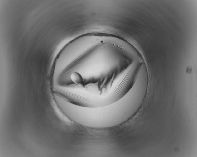 X0000112391152200909101405